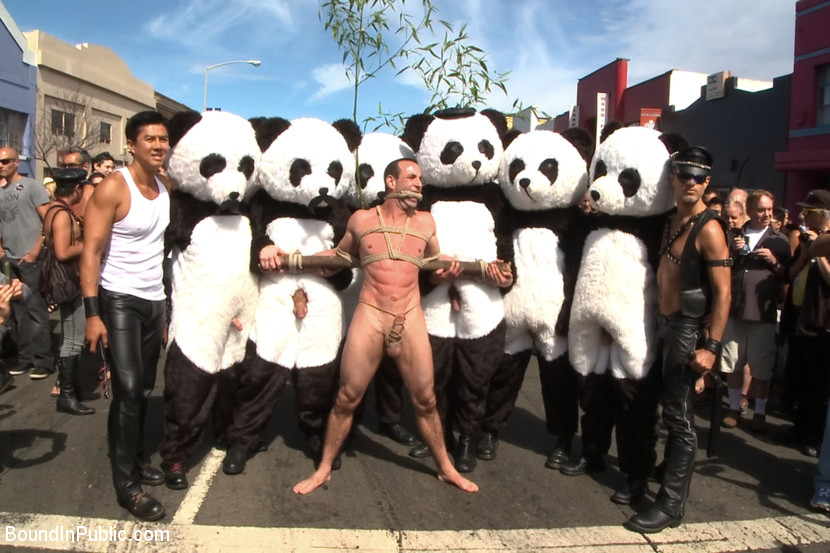 Master Avery Gag Naked Pandas Trick Or Treat Just In Time For