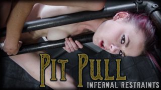 Ivy Addams Shackles Pit Pull