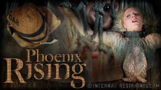 Phoenix Rose Dildo Phoenix Rising